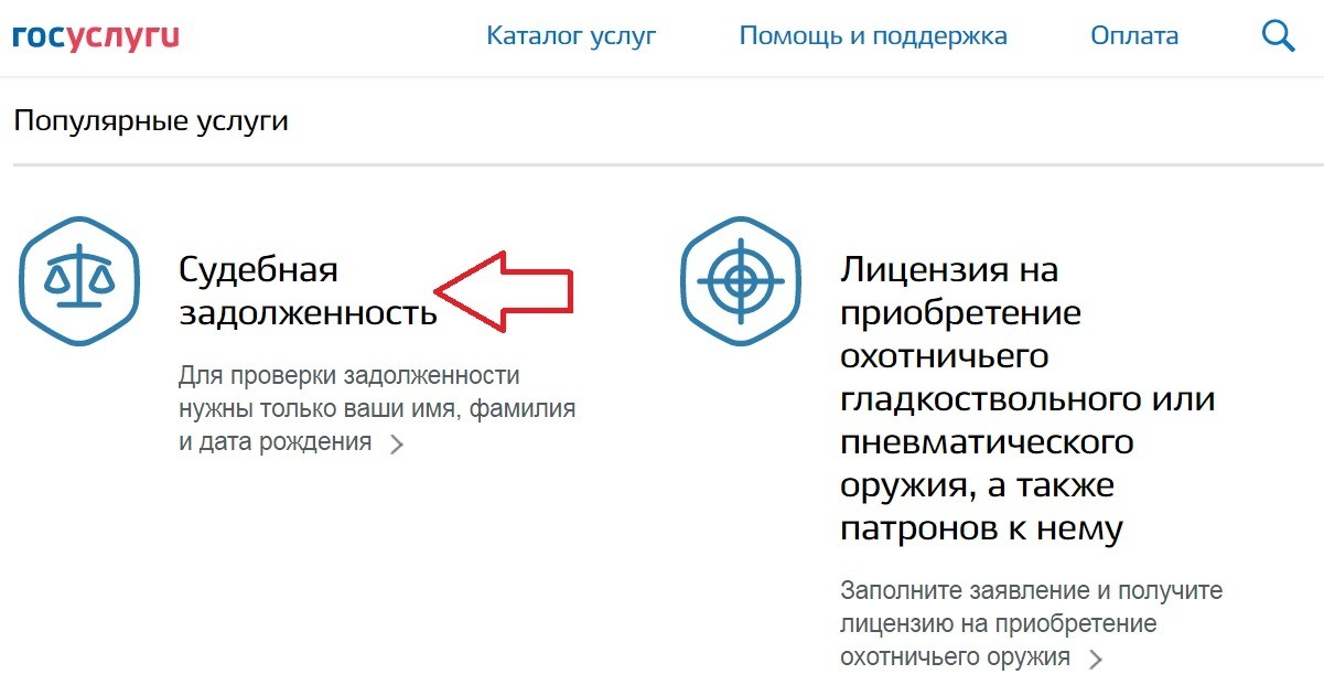 Продление роха госуслуги. Заявление на сдачу оружия через госуслуги.